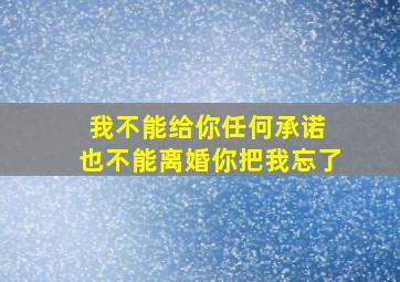 我不能给你任何承诺 也不能离婚你把我忘了